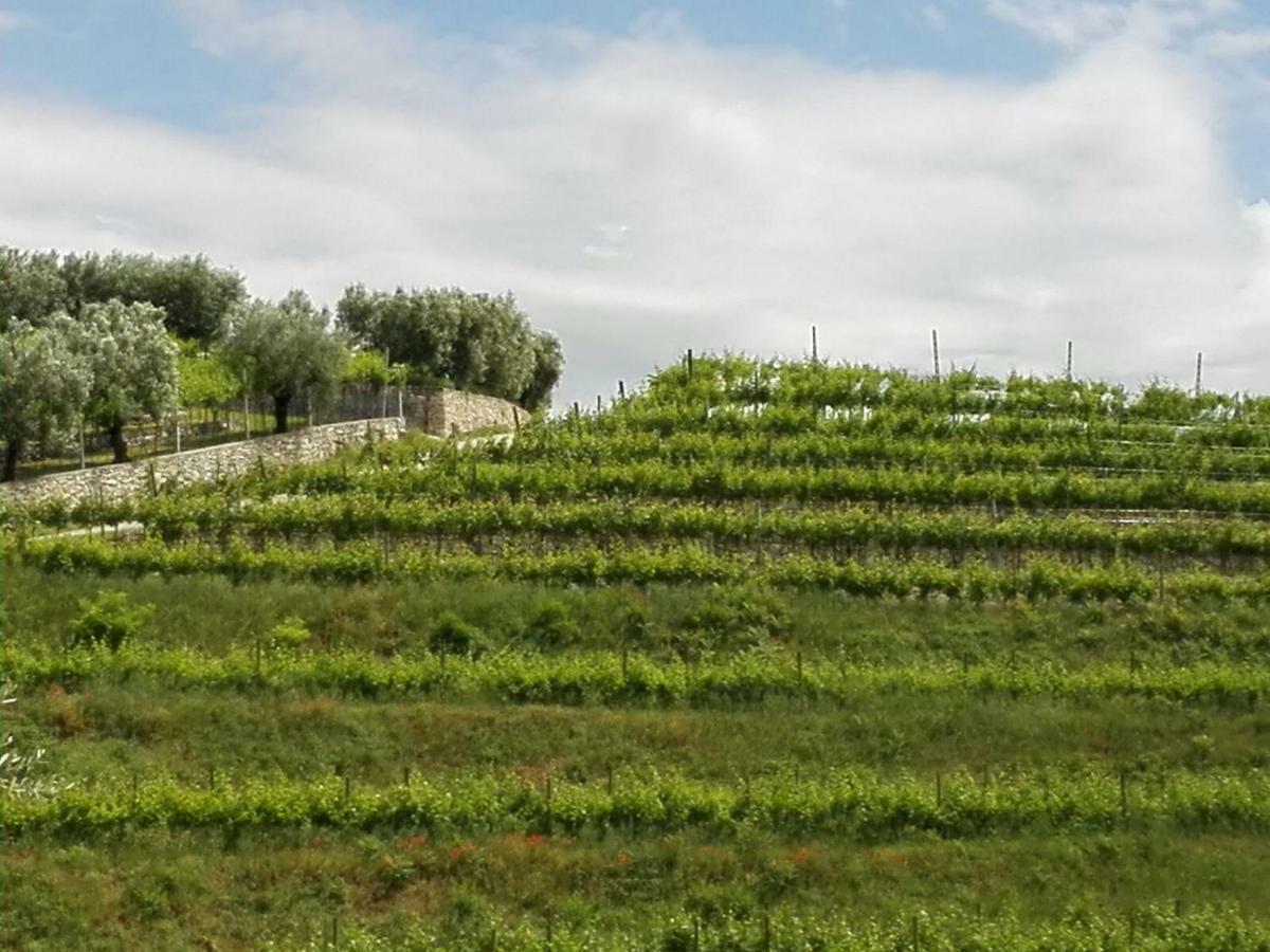 SantʼAmbrogio di Valpolicella B&B Corte Giare المظهر الخارجي الصورة